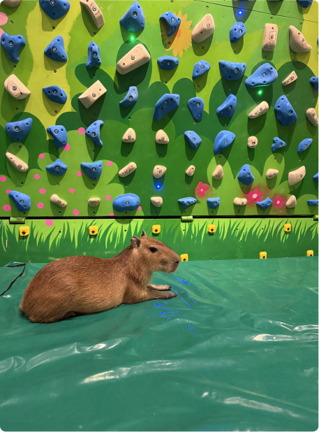 Magnus sitting under the climbing wall